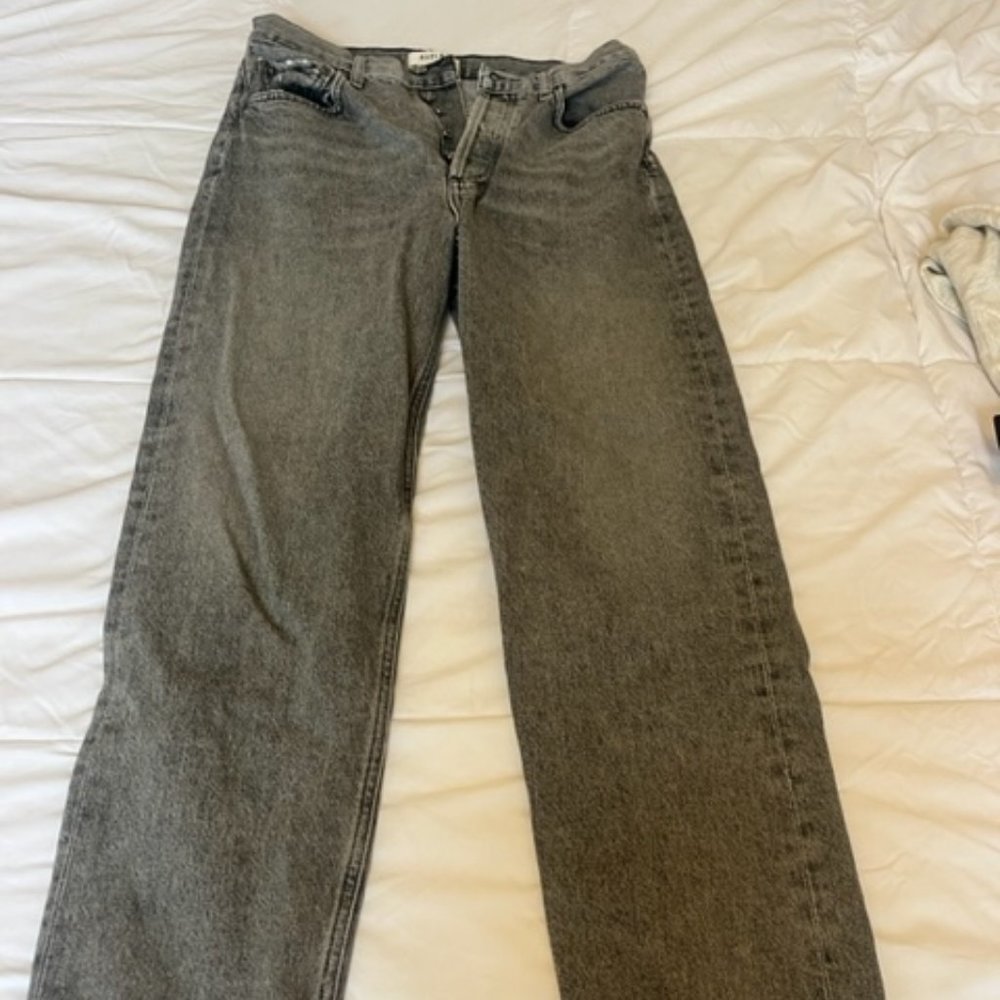 Agolde Low Slung Baggy Denim Size 25
